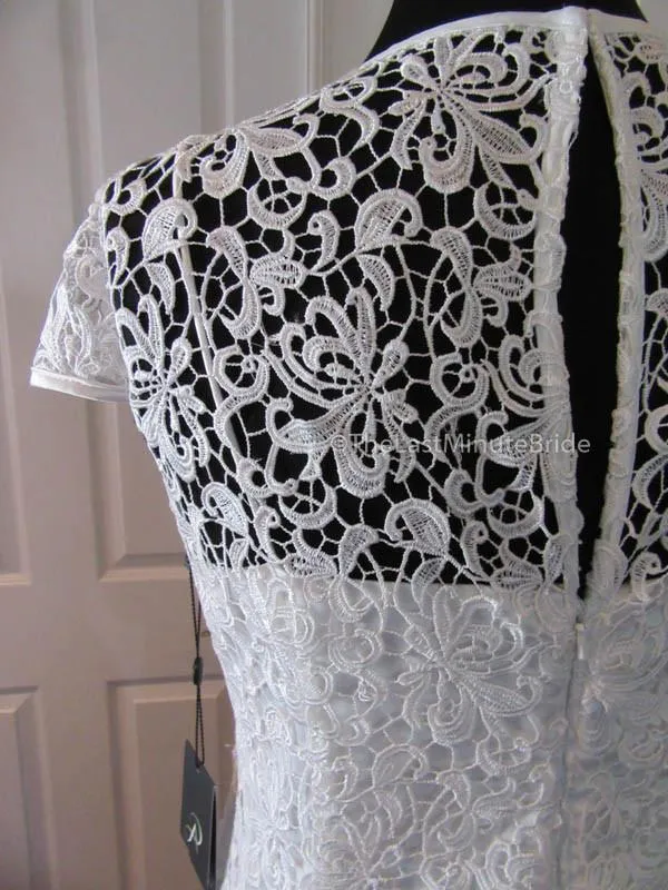 Adrianna Papell 041877531 Size 14W