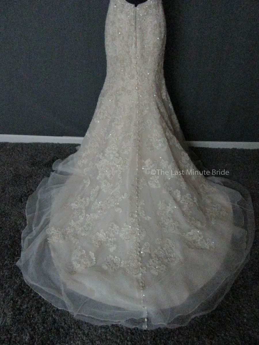 Allure Bridals C344