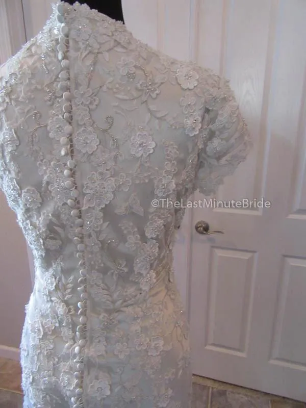 Allure Bridals M495