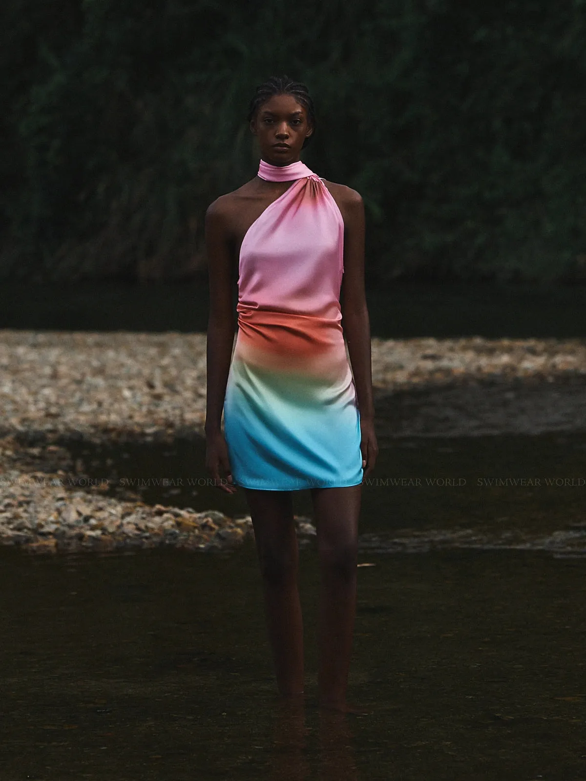 Ari Dress