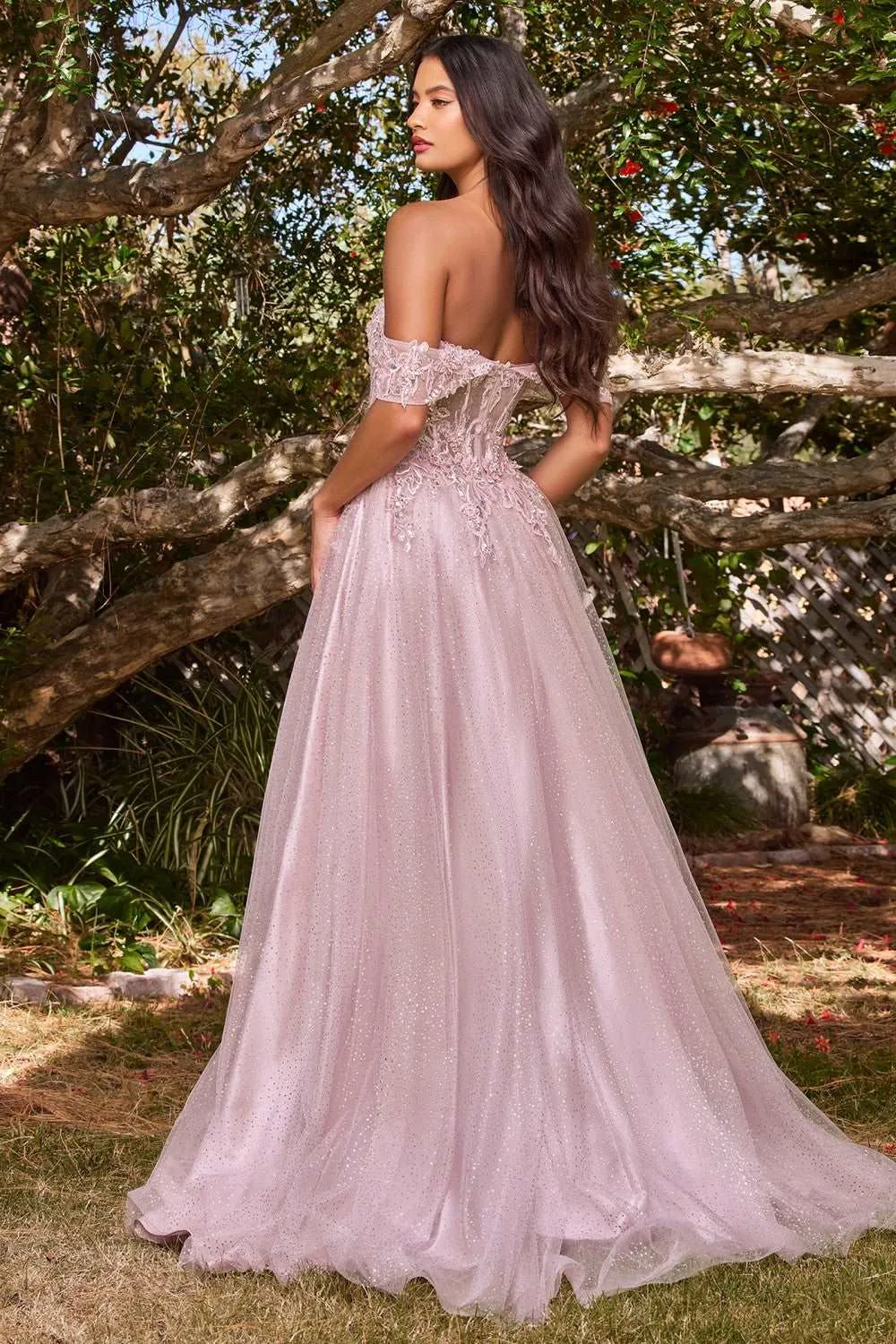 CD CD0198 - Off the Shoulder A-Line Prom Gown with Lace & Bead Embellished Sheer Boned Bodice