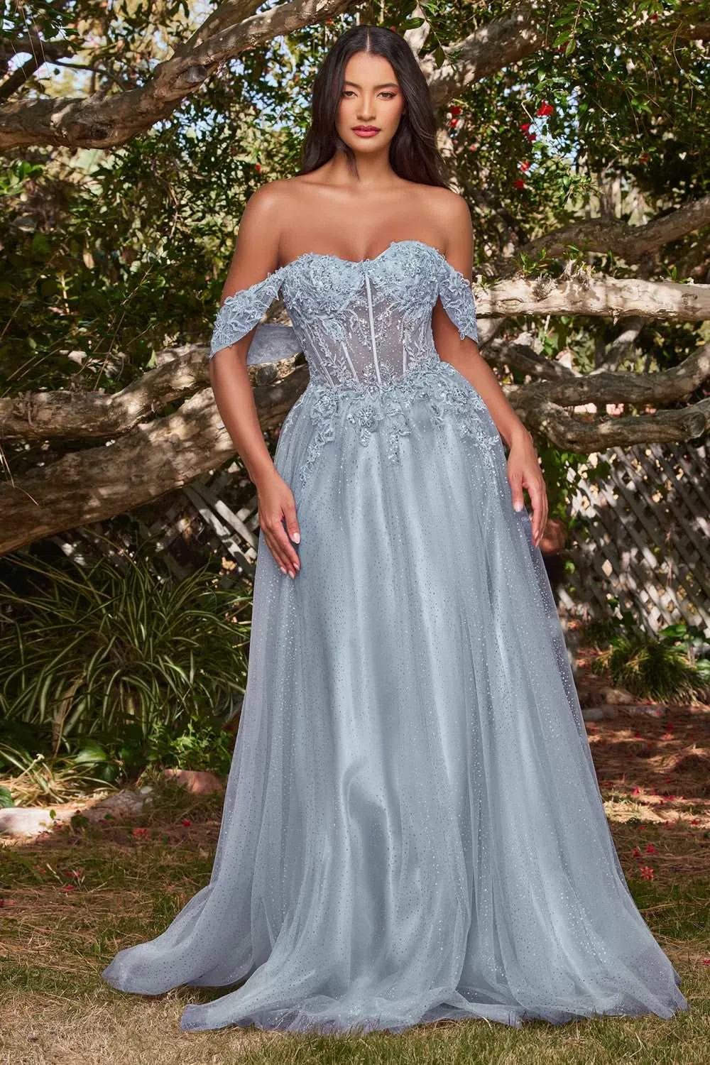 CD CD0198 - Off the Shoulder A-Line Prom Gown with Lace & Bead Embellished Sheer Boned Bodice
