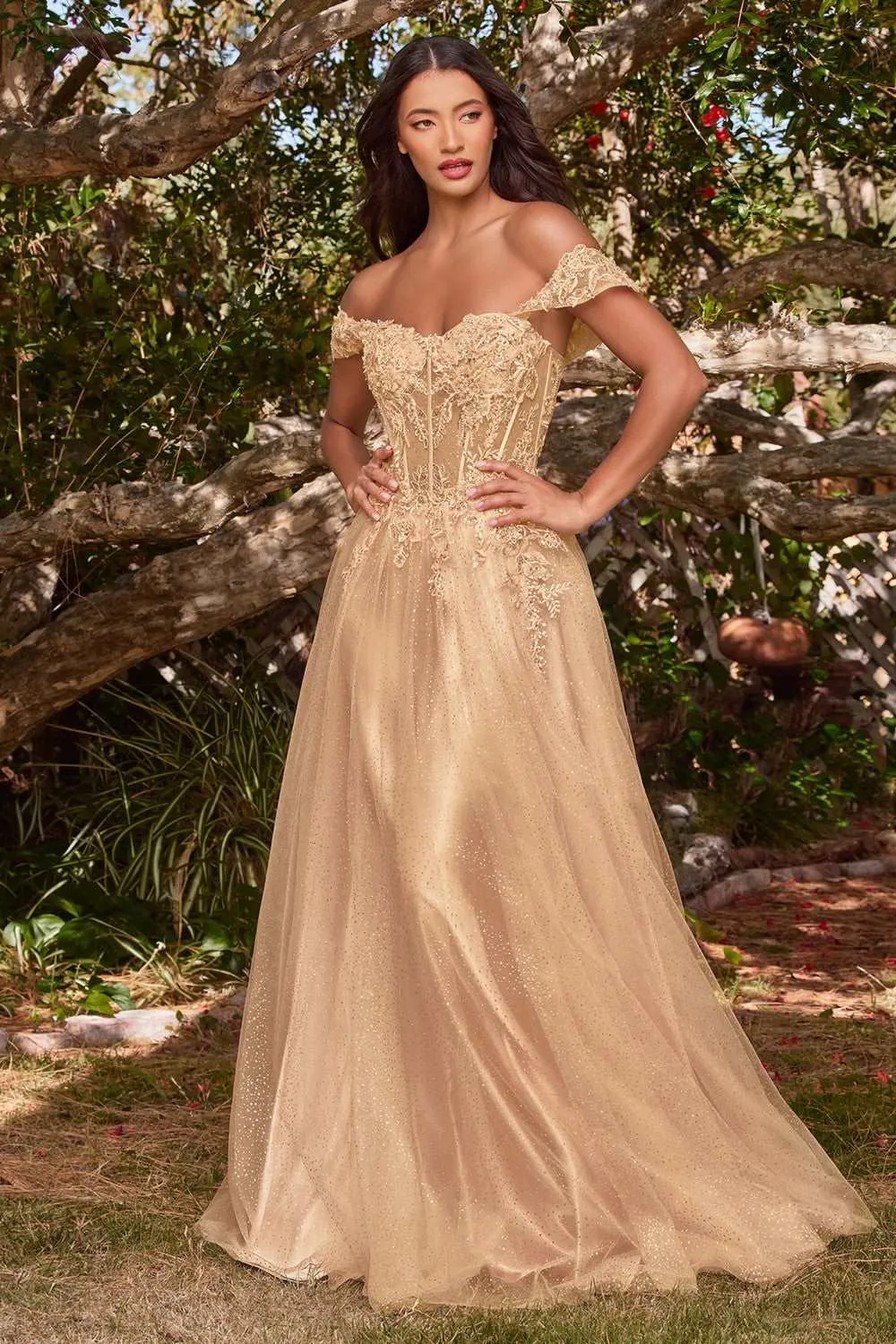 CD CD0198 - Off the Shoulder A-Line Prom Gown with Lace & Bead Embellished Sheer Boned Bodice