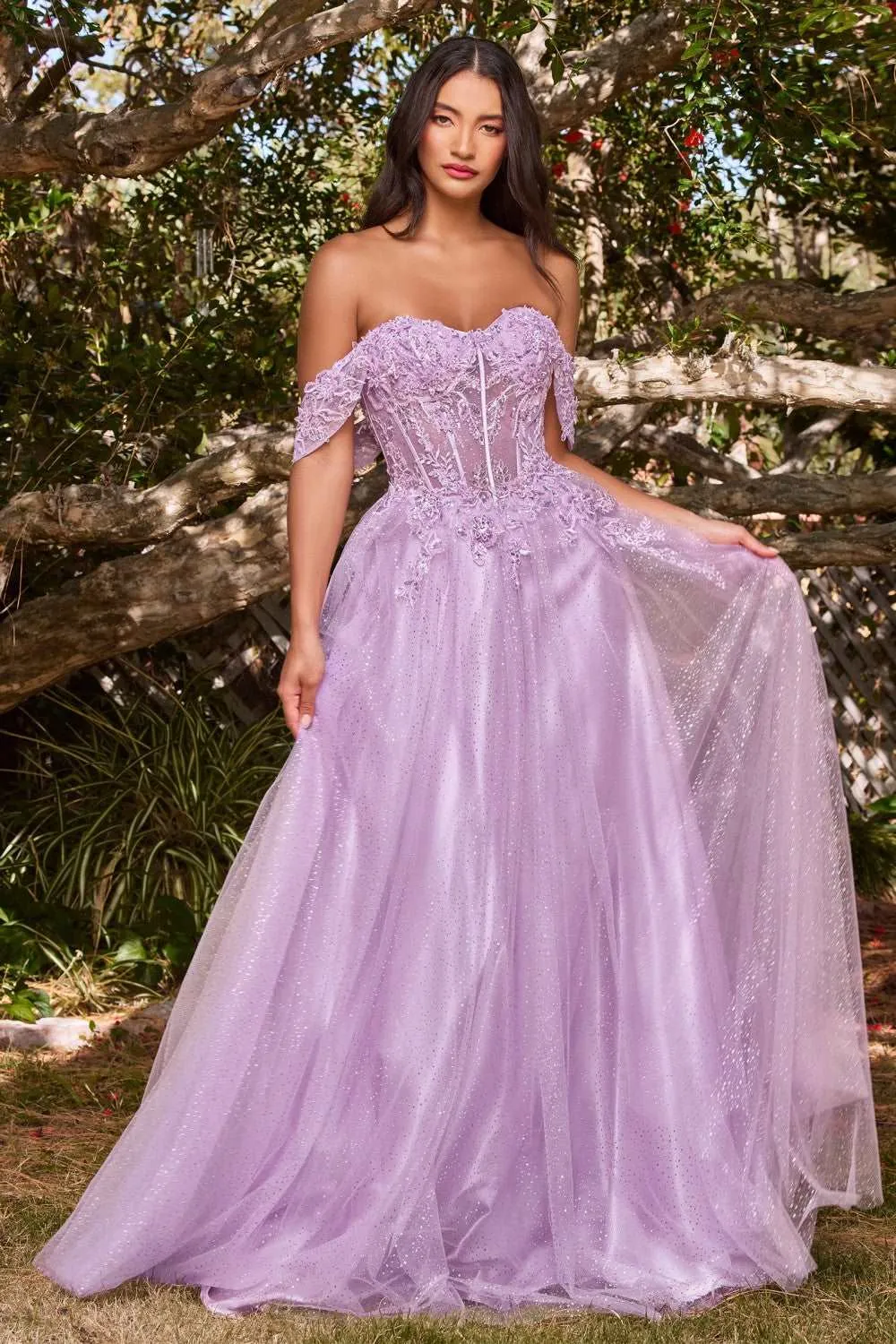 CD CD0198 - Off the Shoulder A-Line Prom Gown with Lace & Bead Embellished Sheer Boned Bodice