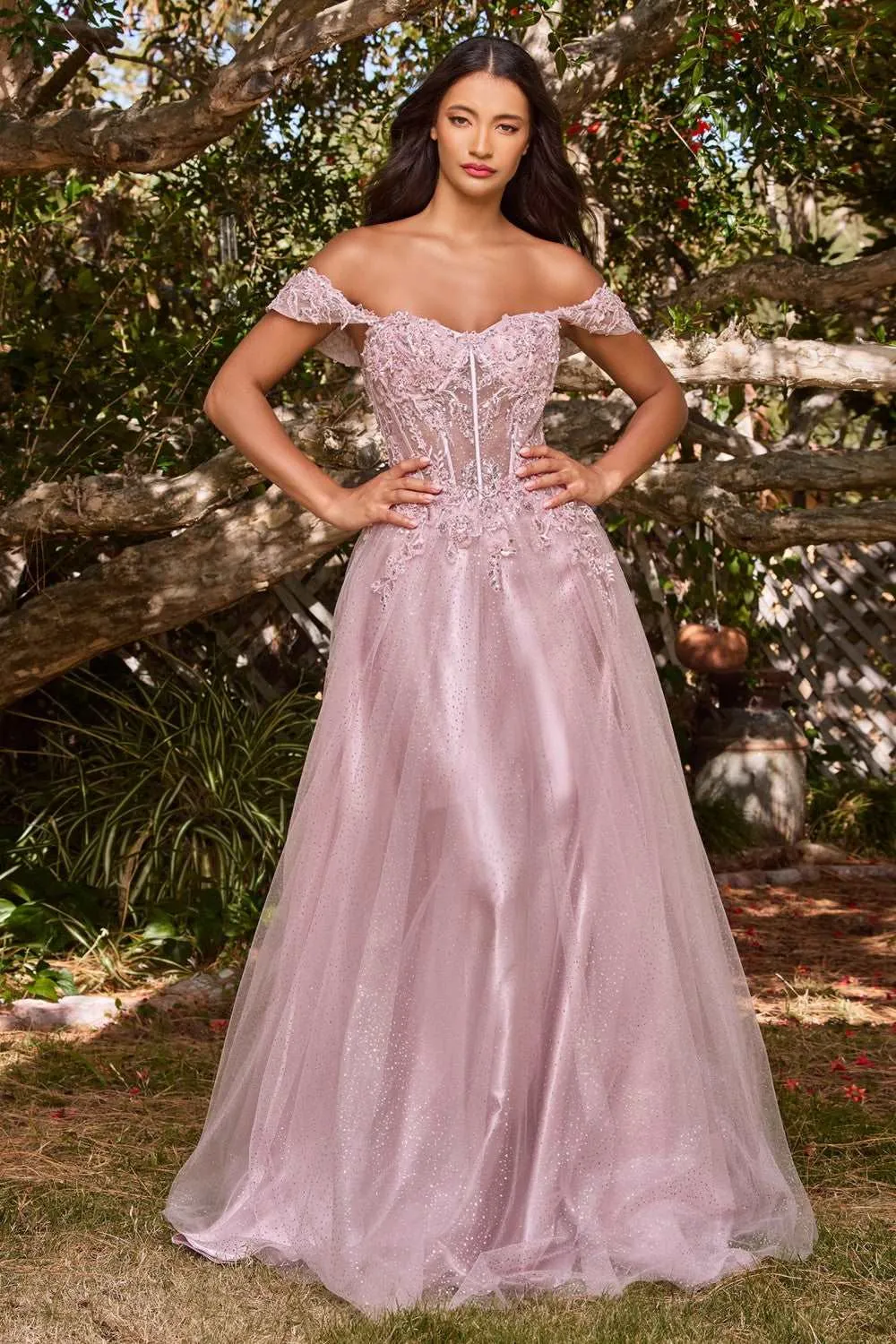 CD CD0198 - Off the Shoulder A-Line Prom Gown with Lace & Bead Embellished Sheer Boned Bodice