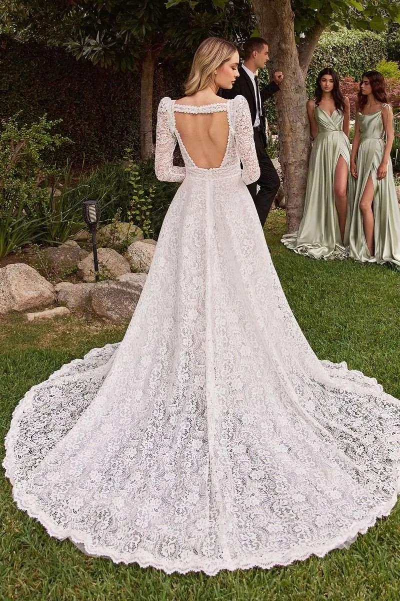 CD CD862W - Lace A-Line Wedding Gown with Sheer Sides V-Neck Bodice & Removeable Long Sleeve Jacket