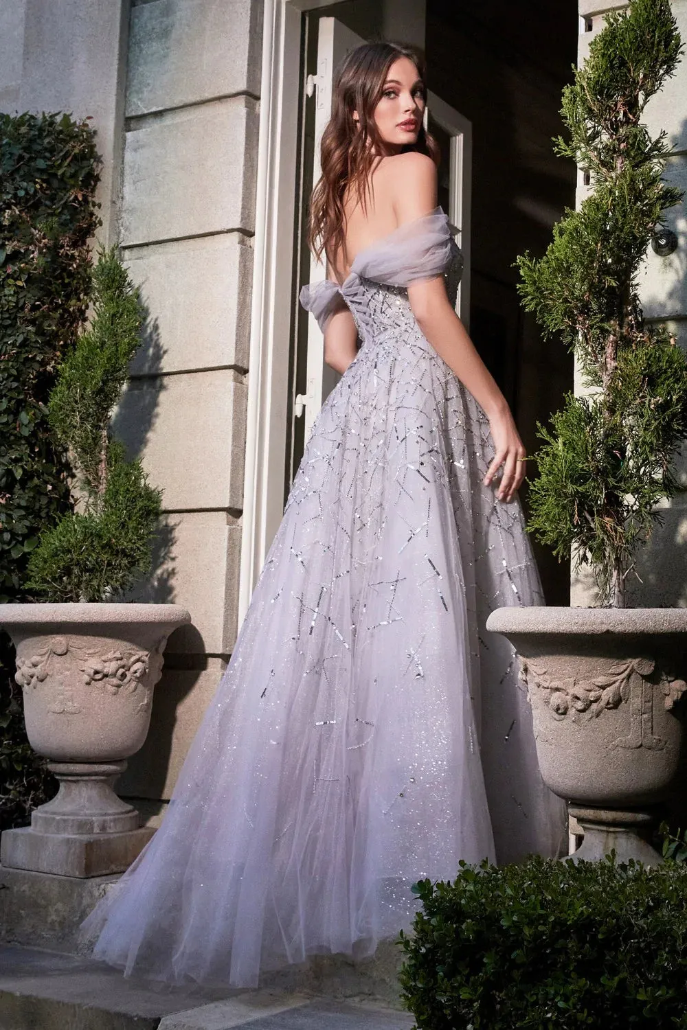 CINDERELLA DIVINE B713