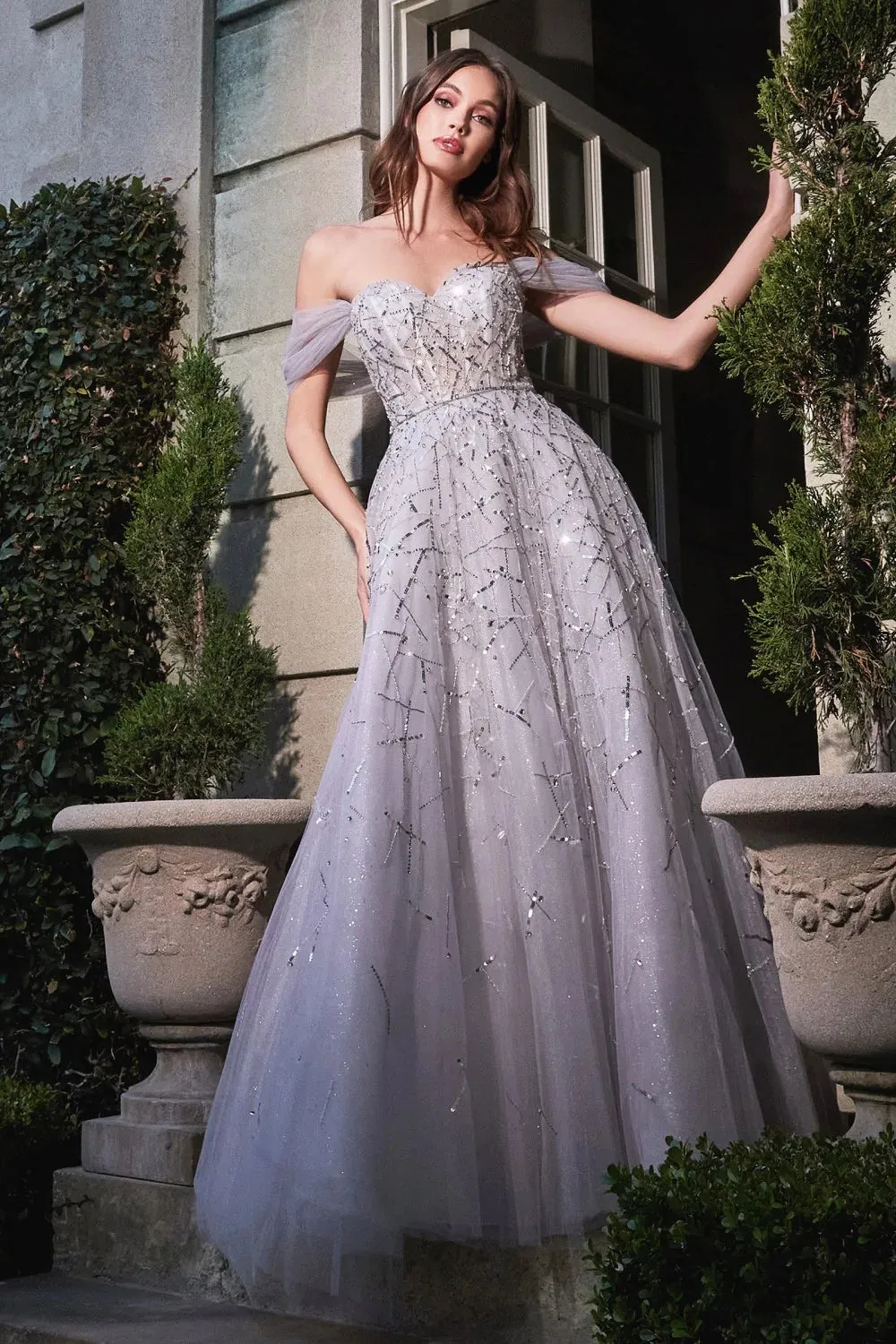 CINDERELLA DIVINE B713