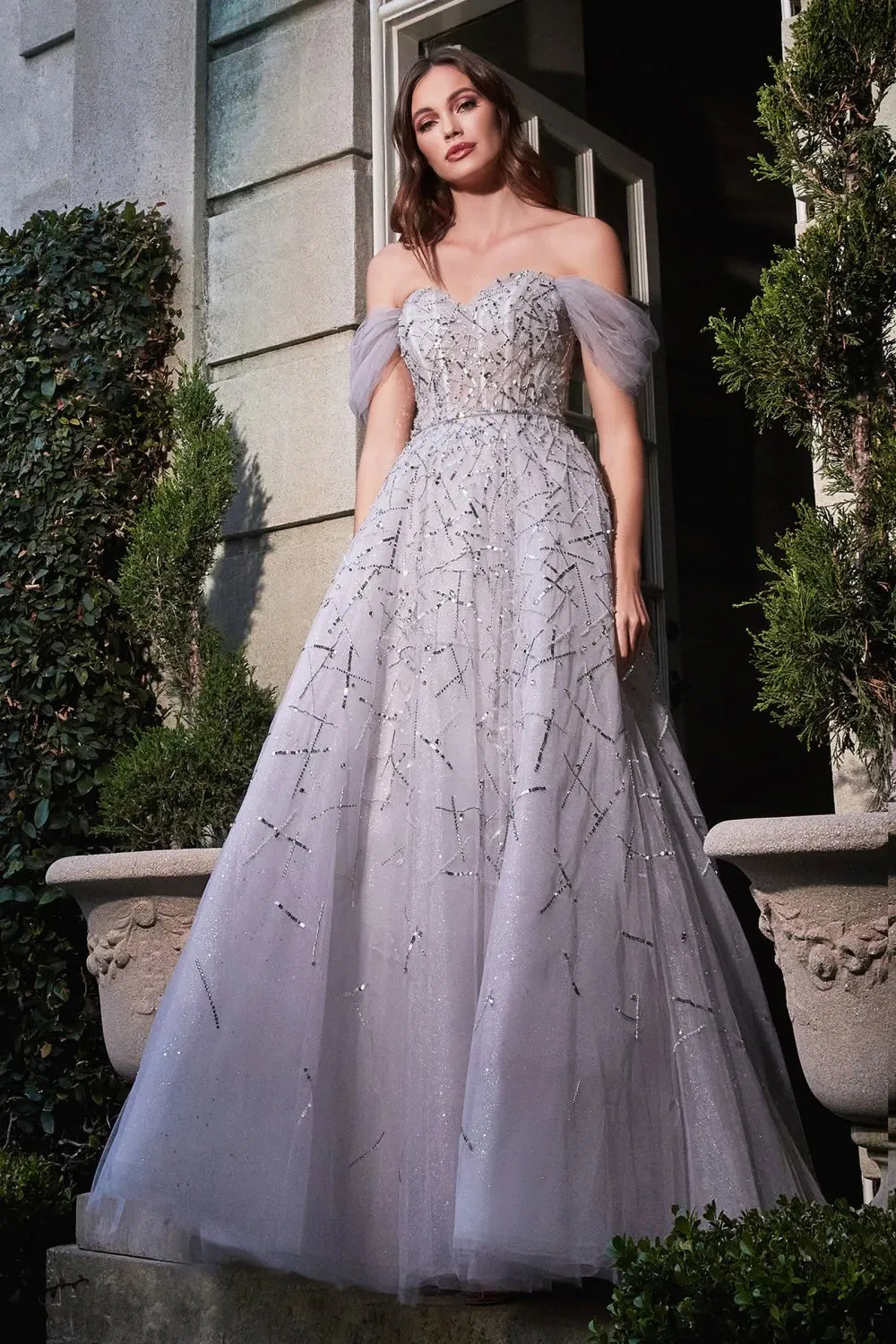CINDERELLA DIVINE B713