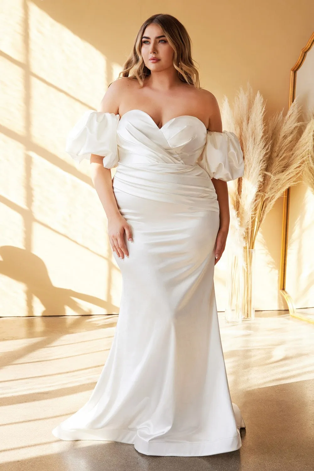 Cinderella Evening Dress CD984WC