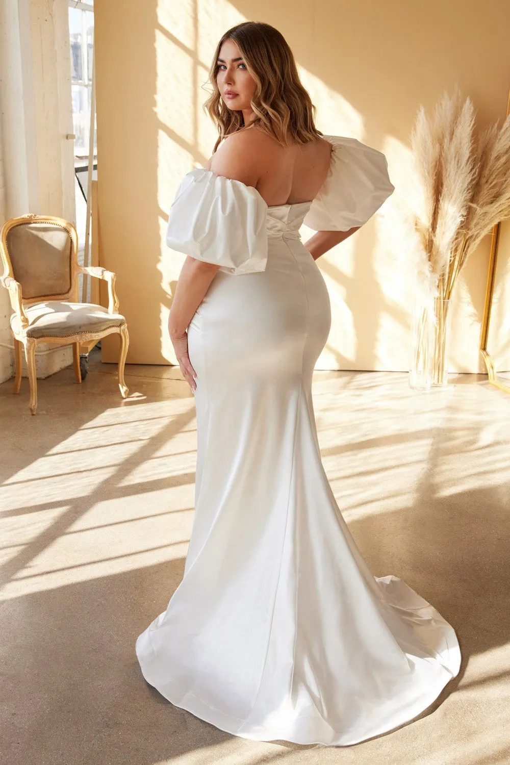 Cinderella Evening Dress CD984WC
