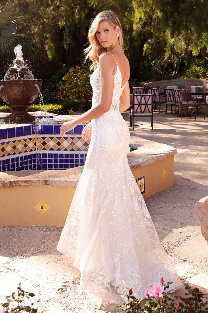 Cinderella Evening Dress J825W