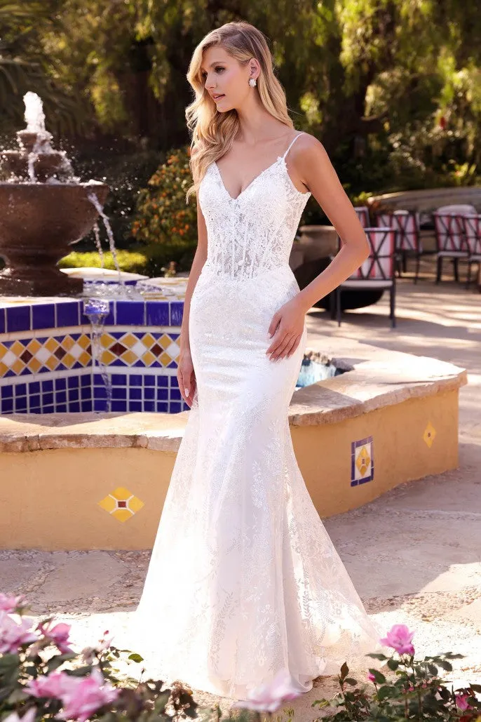 Cinderella Evening Dress J825W
