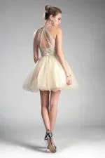 Cinderella Evening Dress UJ0119