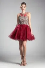 Cinderella Evening Dress UJ0119