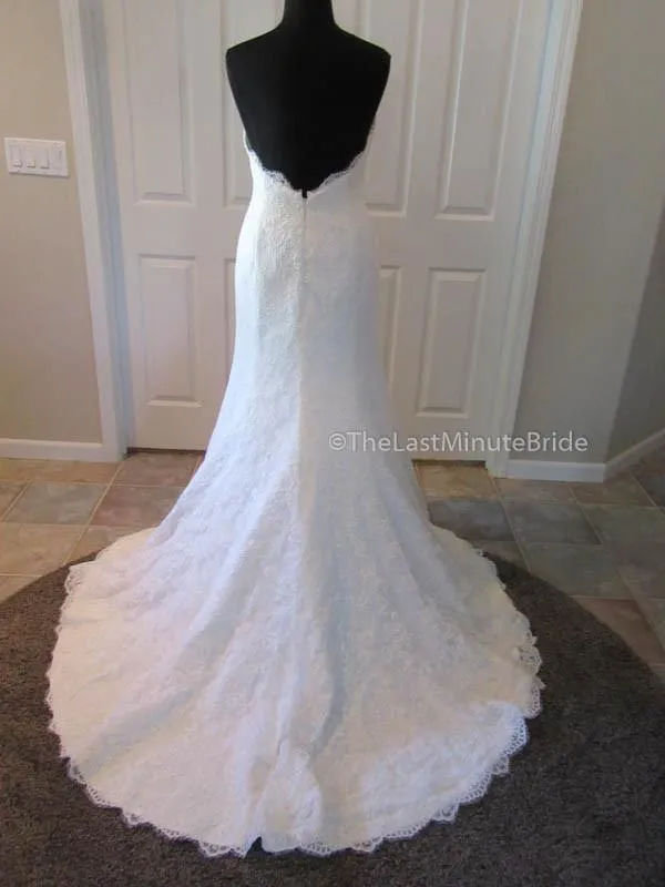 Demetrios 1443