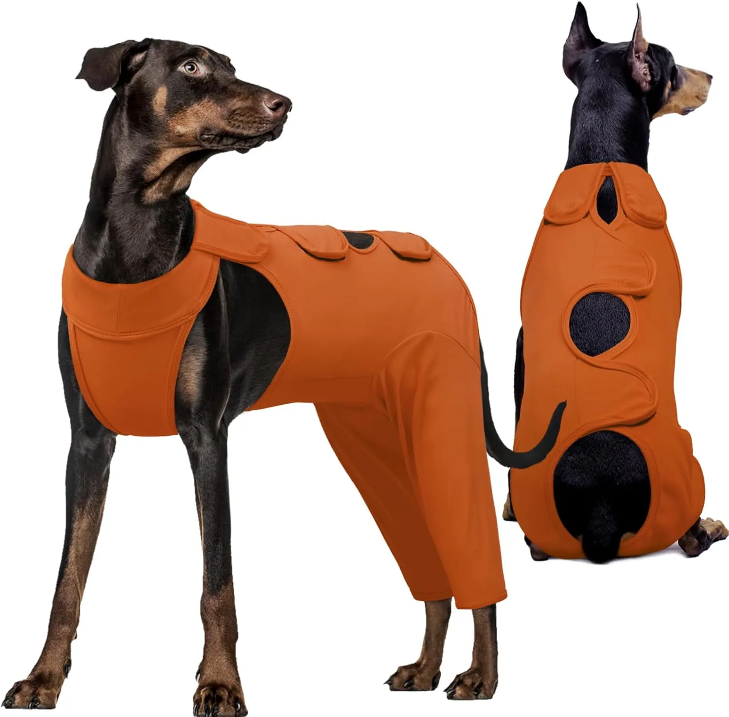 Dog Recovery Suit for Back Legs, Dog Recovery Sleeve
