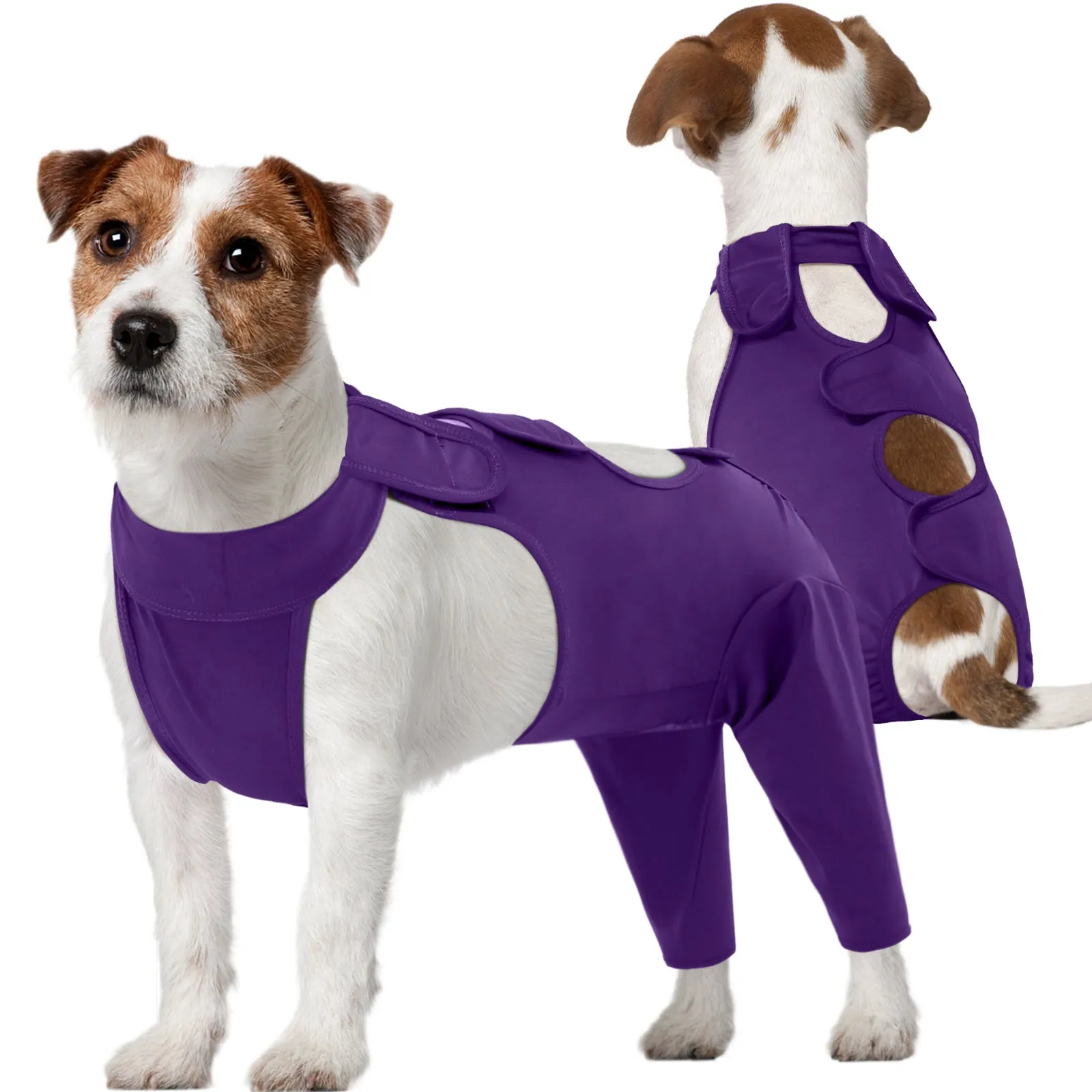 Dog Recovery Suit for Back Legs, Dog Recovery Sleeve