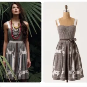 EUC Anthro Edme &amp; Esyllte Annona Fit &amp; Flare Dress, Size 2