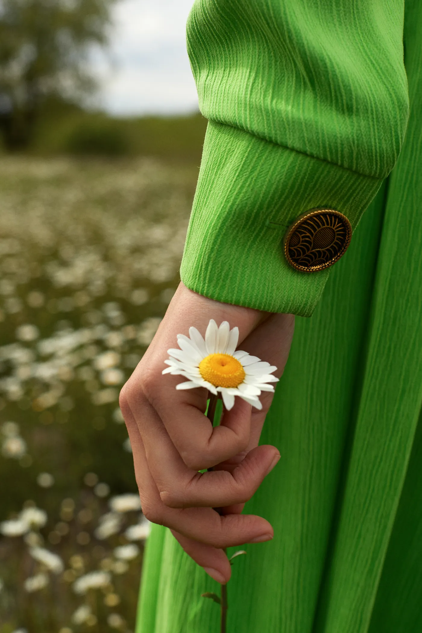 Green Pleated Dress