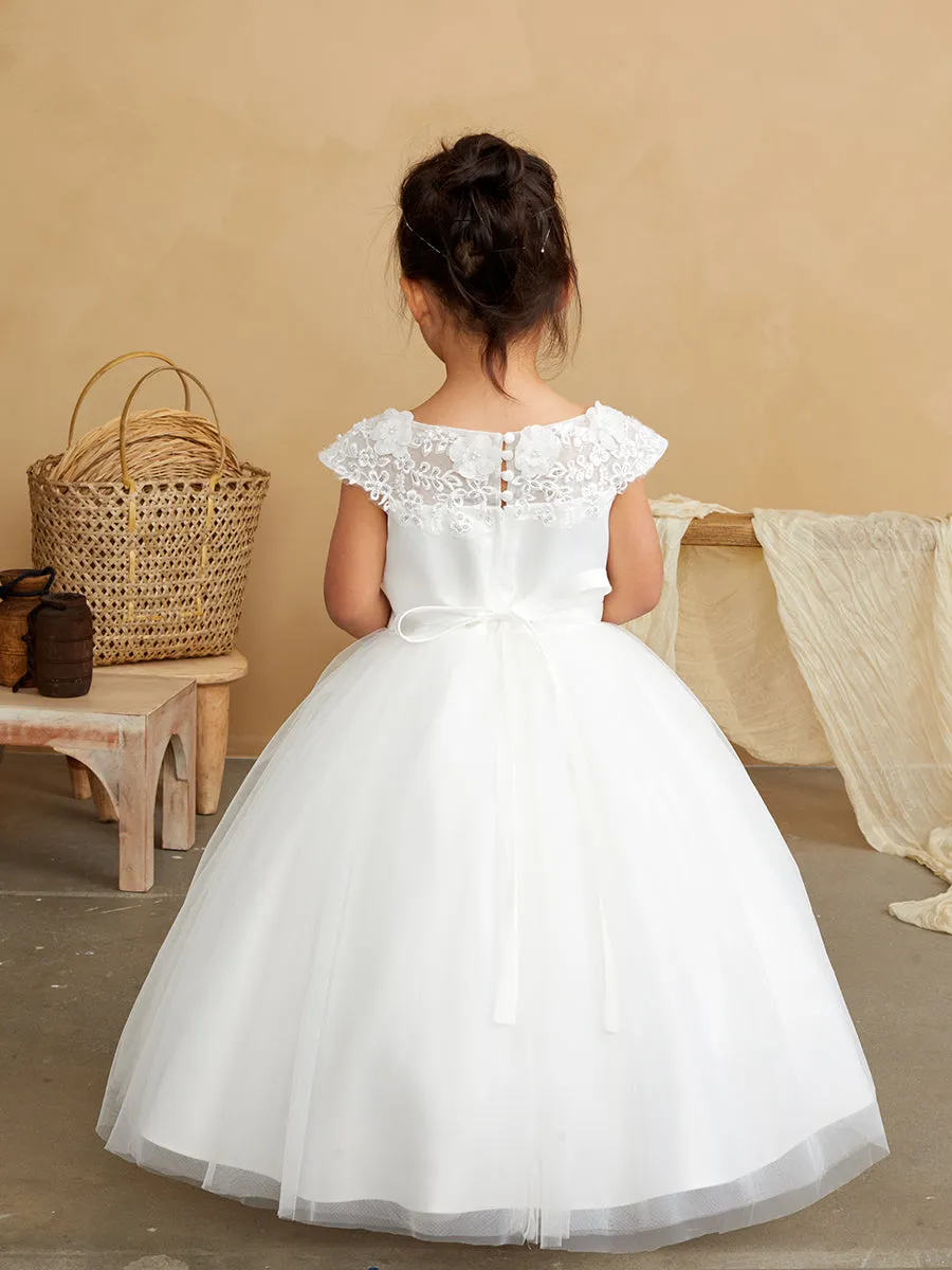 Illusion Boat Neckline Dress 5842