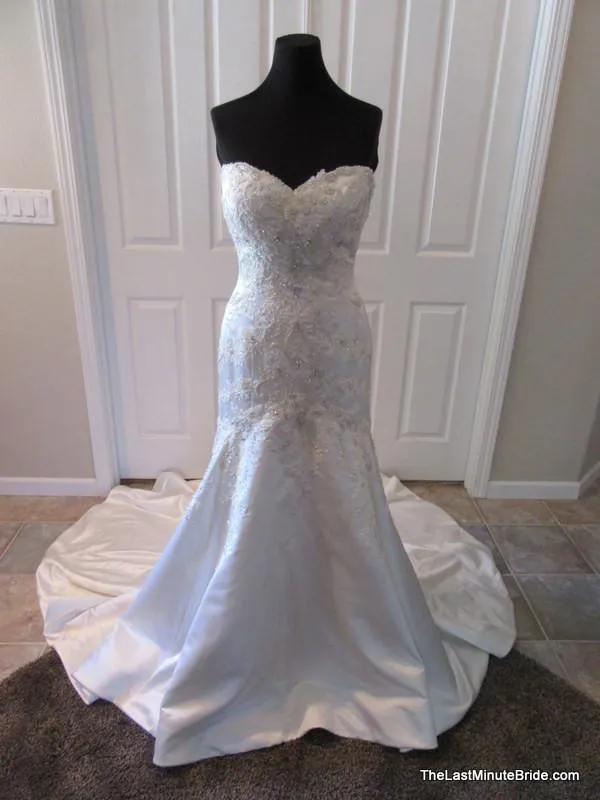 Jasmine T152008