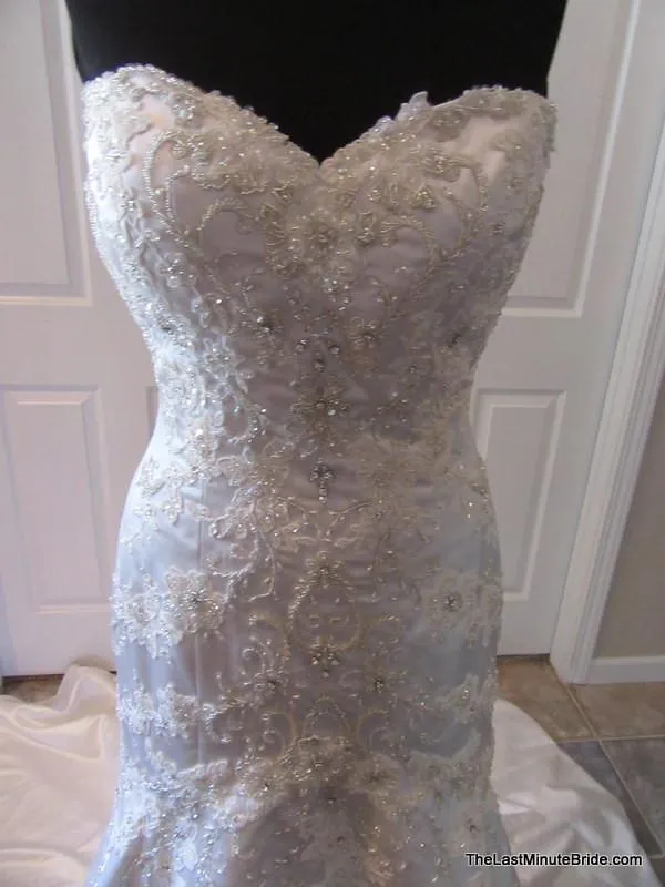 Jasmine T152008
