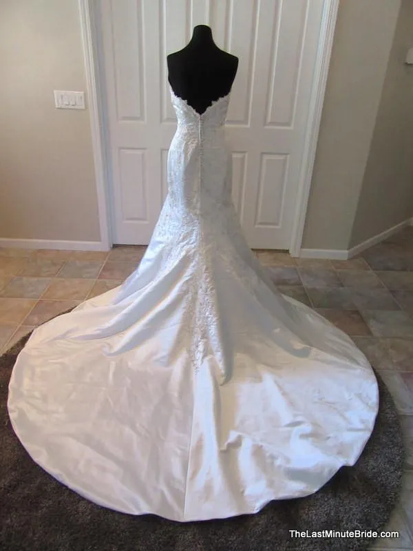 Jasmine T152008