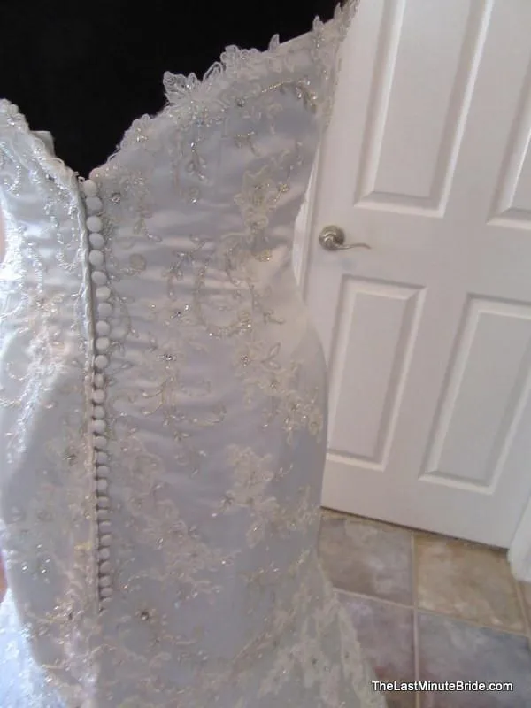 Jasmine T152008