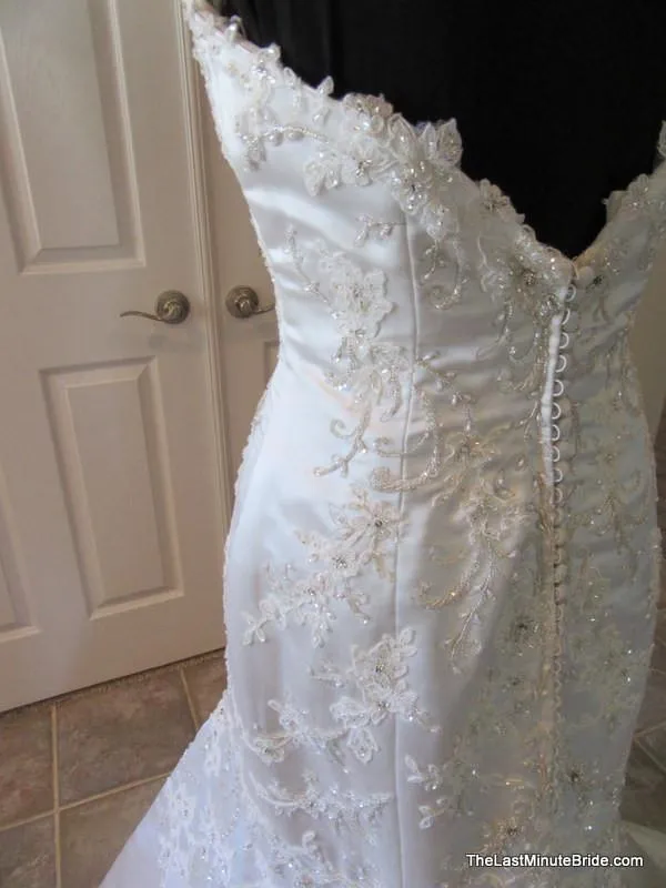 Jasmine T152008