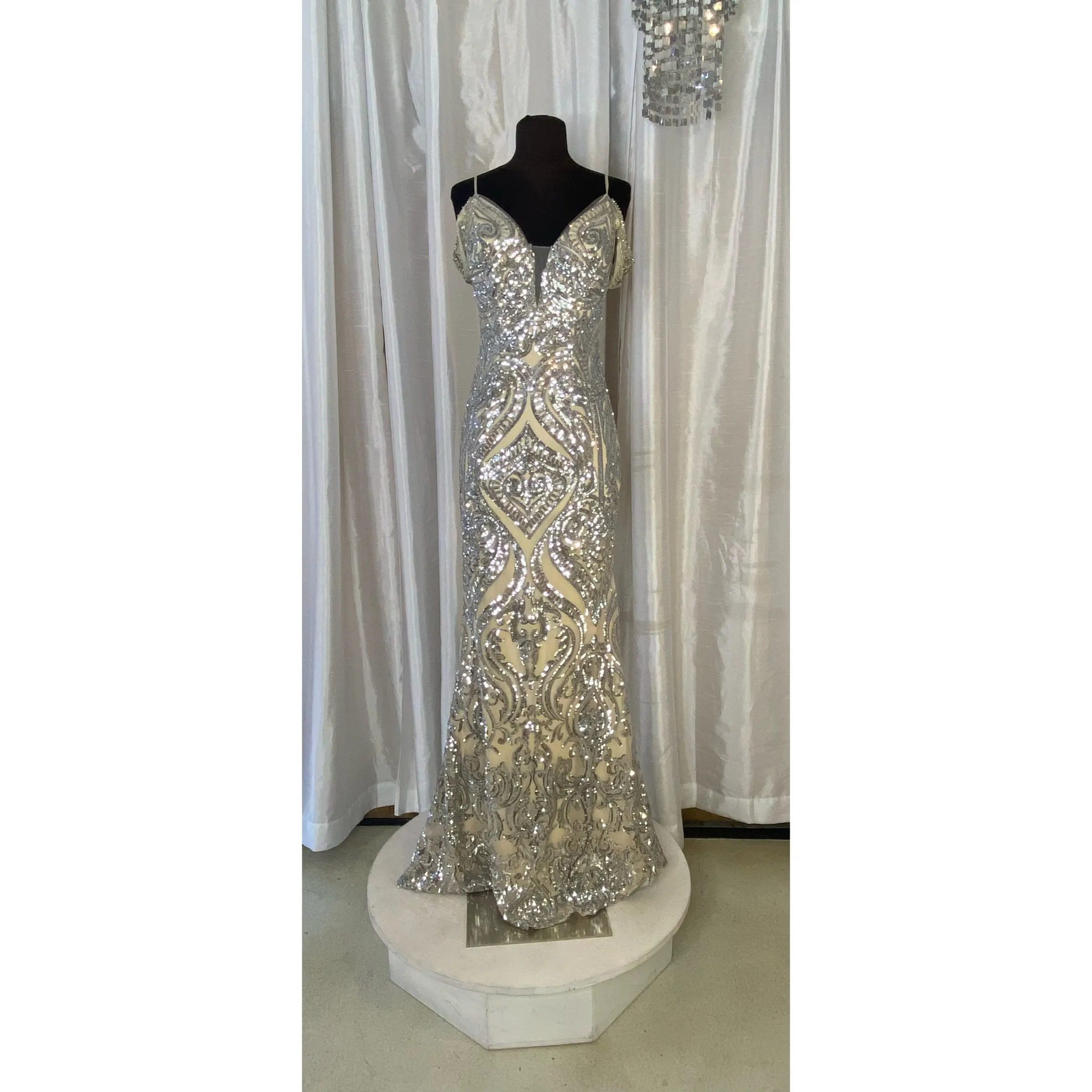 JVN By JOVANI JVN67256BG Long Gown Silver/Nude Size 0