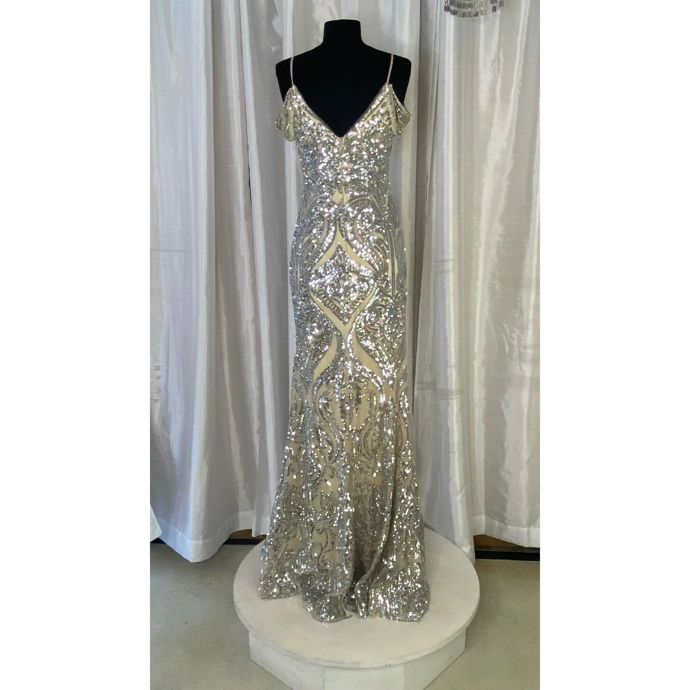 JVN By JOVANI JVN67256BG Long Gown Silver/Nude Size 0