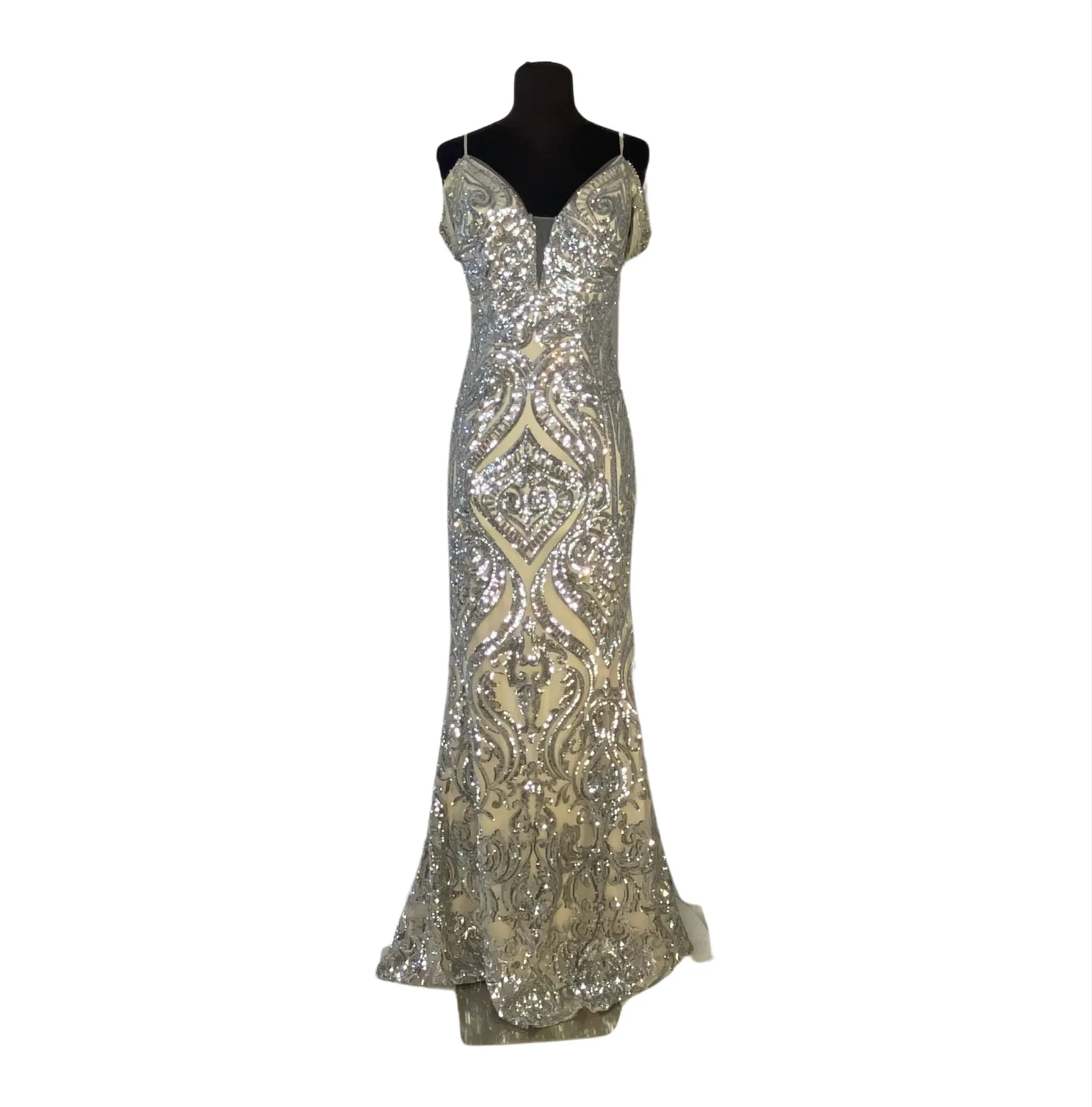 JVN By JOVANI JVN67256BG Long Gown Silver/Nude Size 0