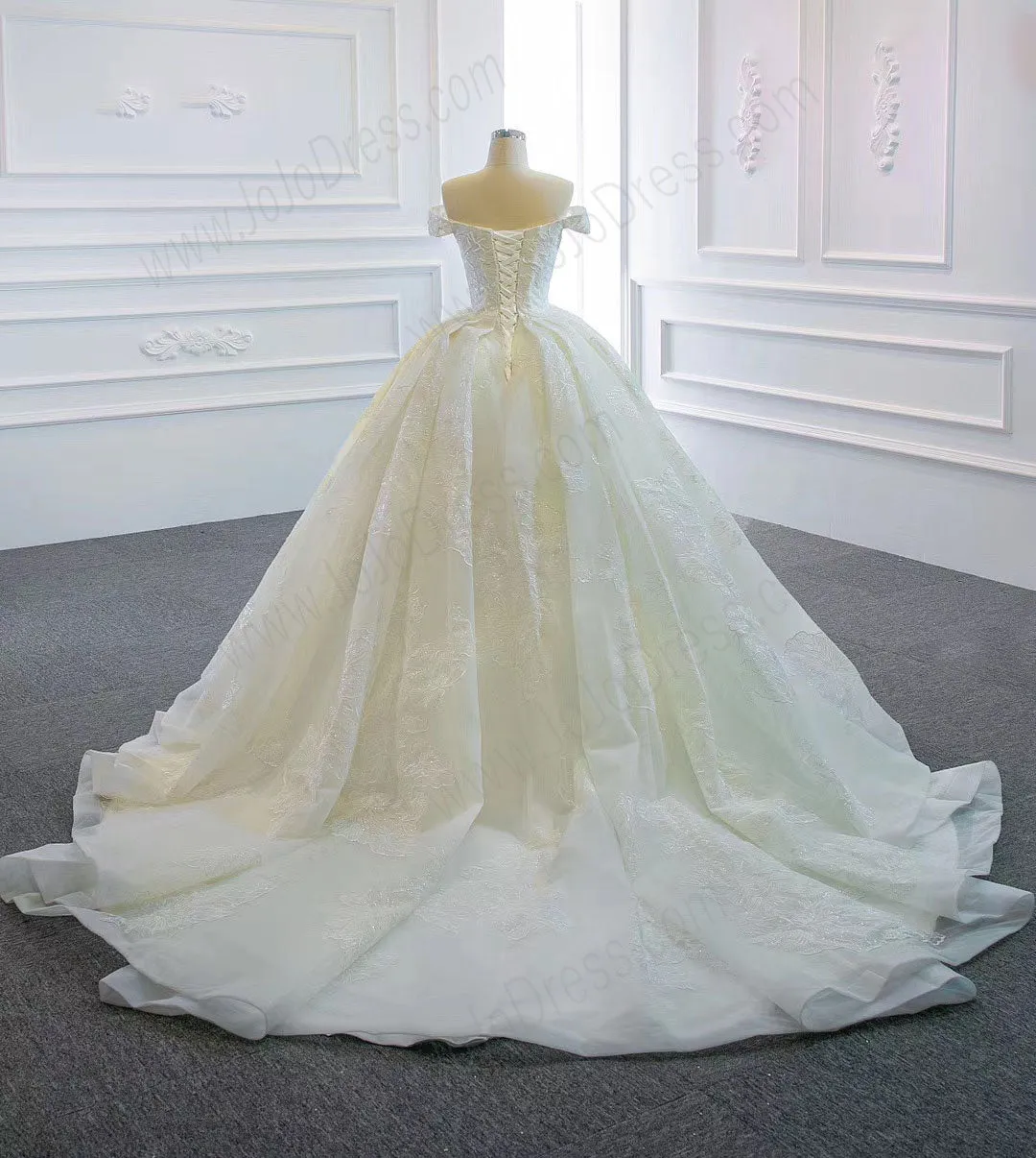 Off The Shoulder Lace Ball Gown Wedding Dress AL3016