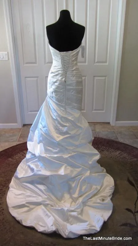 Paloma Blanca 4111