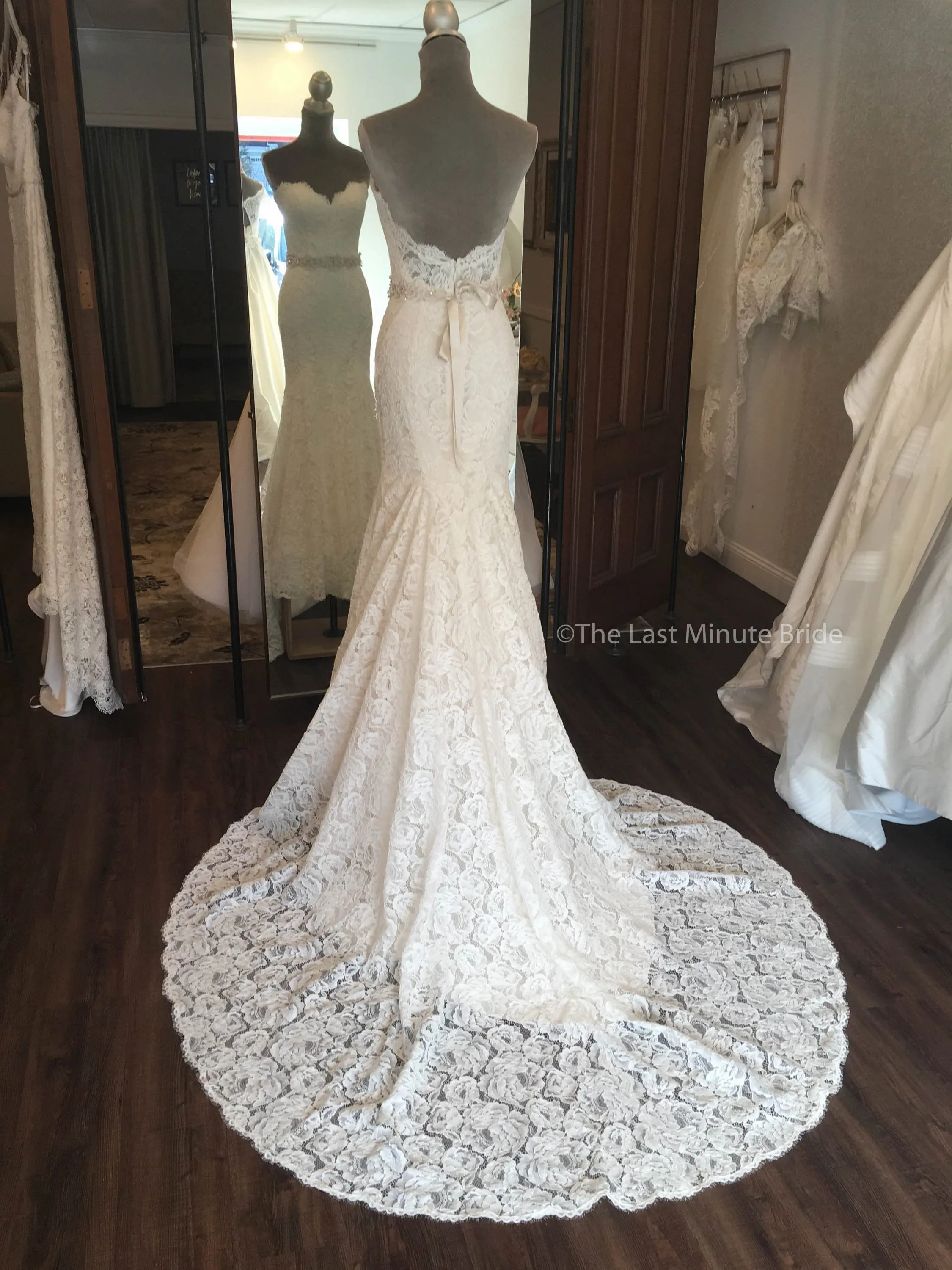 Paloma Blanca 4797
