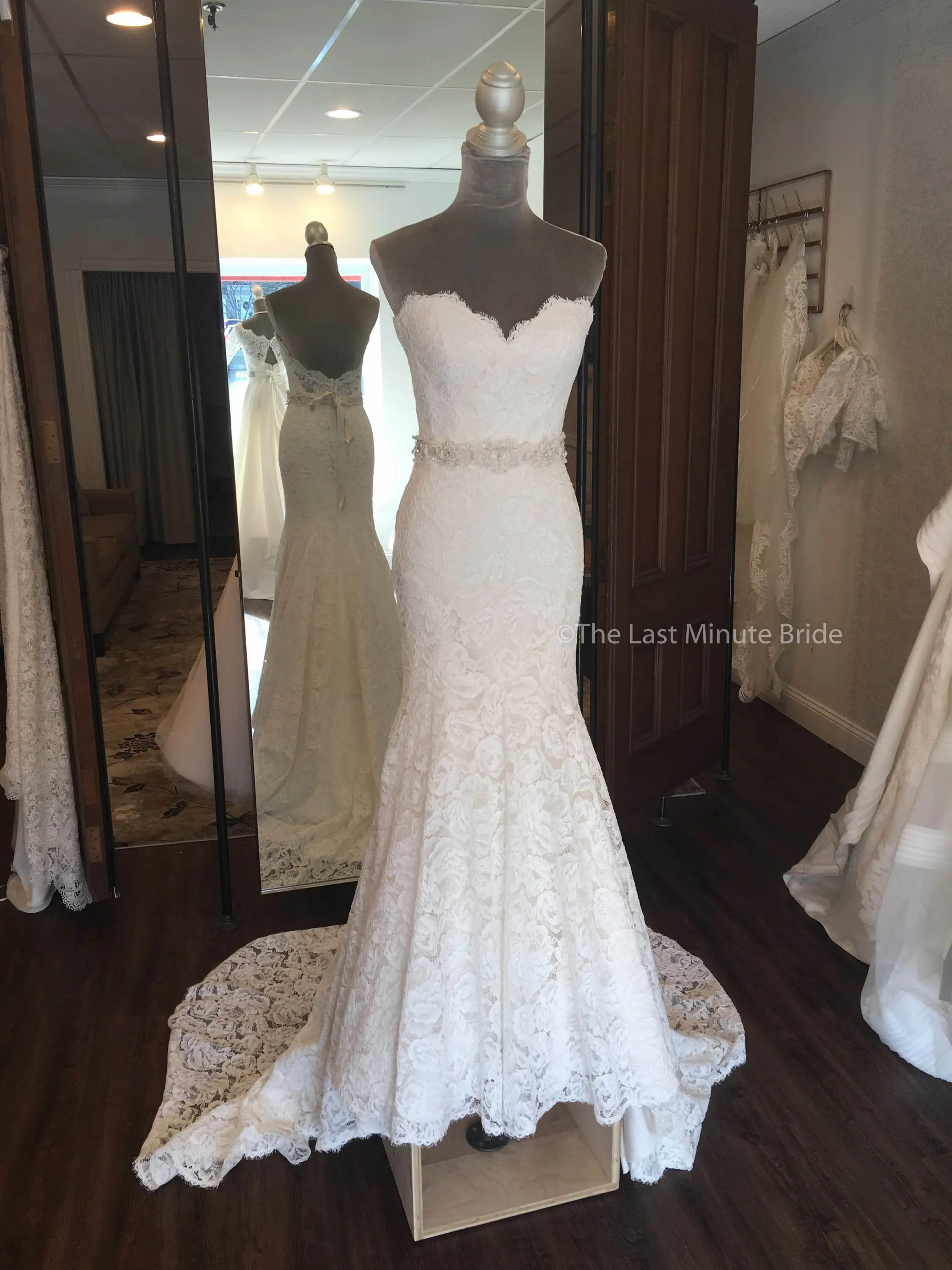 Paloma Blanca 4797