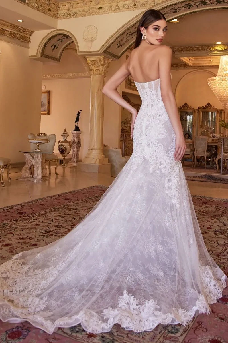 Patrice Wedding Dress Strapless Lace Mermaid 740928HXR-OffWhite/Nude