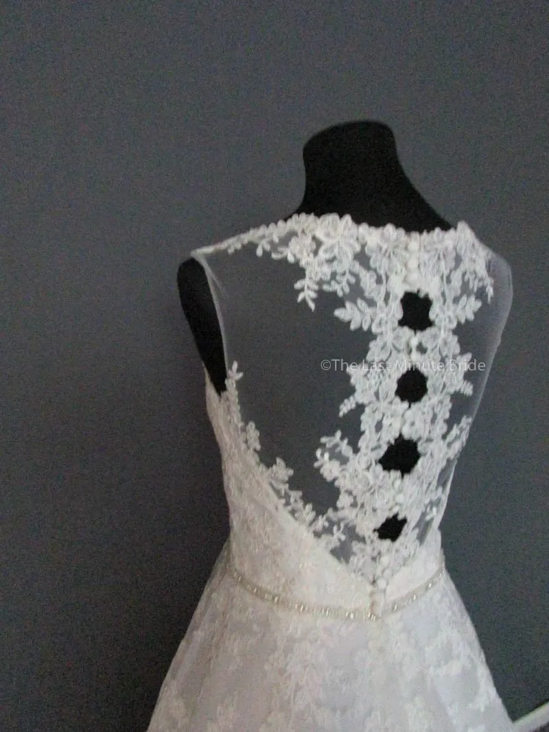 Rebecca Ingram Olivia 7RS290