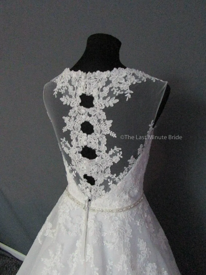 Rebecca Ingram Olivia 7RS290
