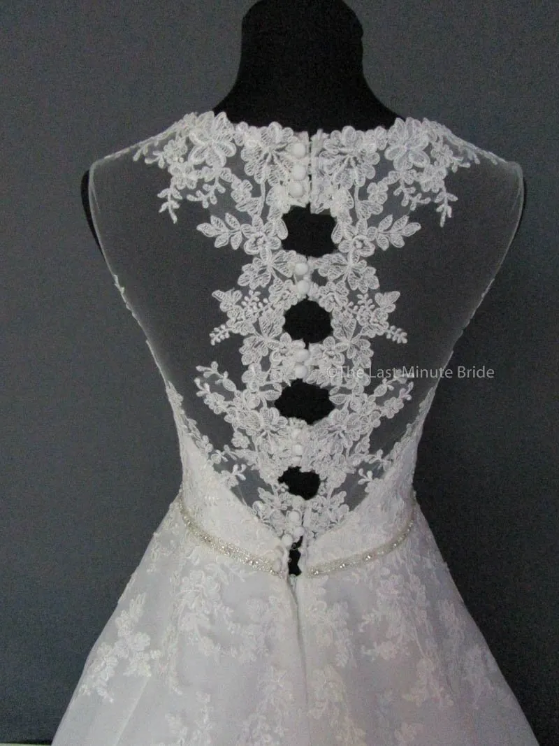 Rebecca Ingram Olivia 7RS290