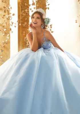 Rhinestone and Crystal Beaded Embroidery on a Tulle Ballgown