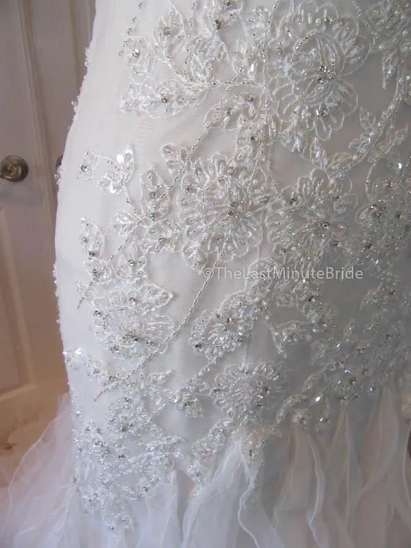 Sophia Tolli Blake Y21502