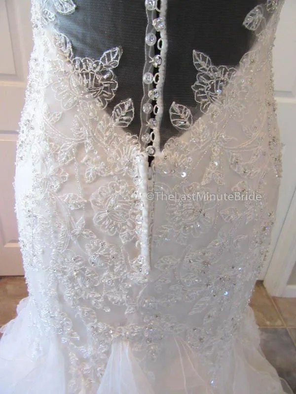 Sophia Tolli Blake Y21502
