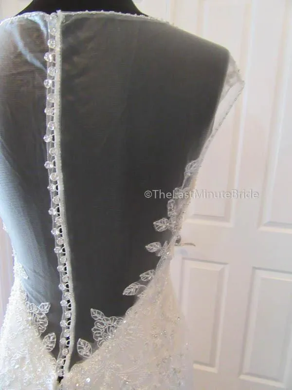 Sophia Tolli Blake Y21502