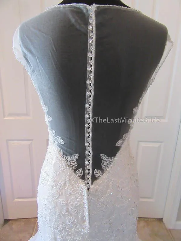 Sophia Tolli Blake Y21502