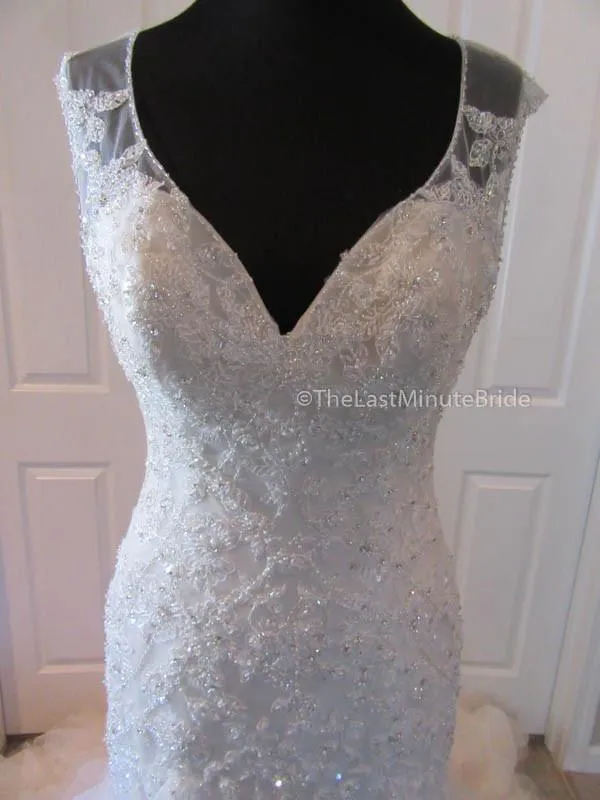 Sophia Tolli Blake Y21502