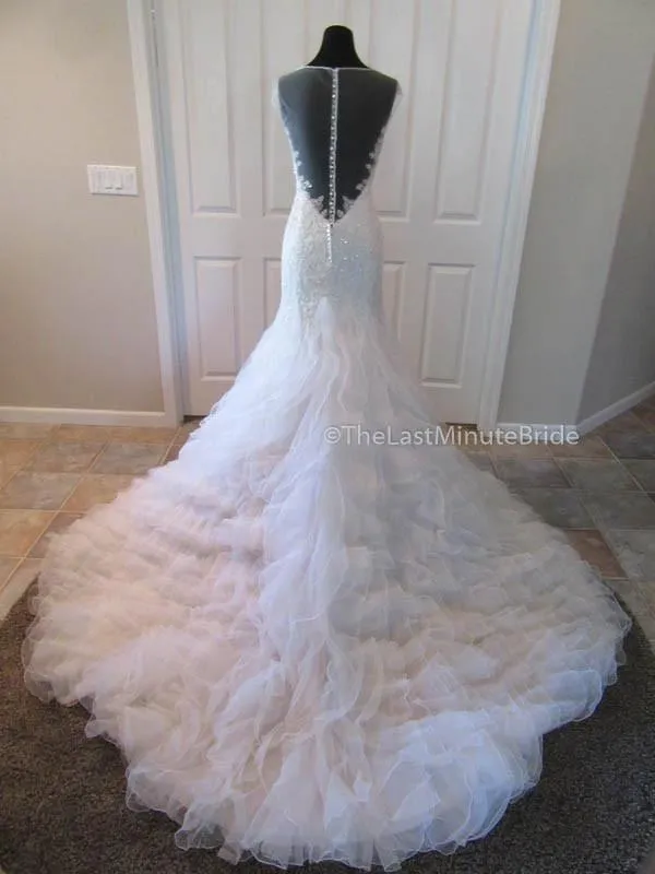 Sophia Tolli Blake Y21502