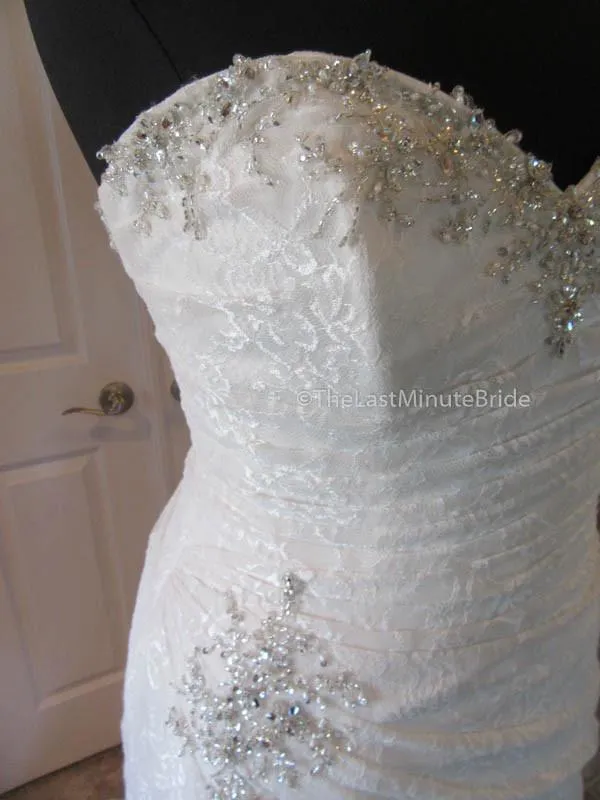 Sophia Tolli Roslin Y11415
