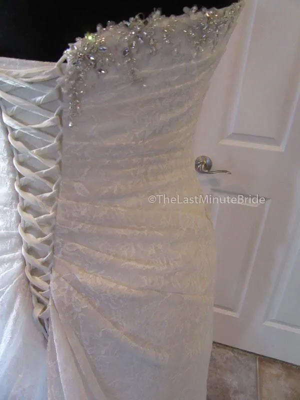 Sophia Tolli Roslin Y11415